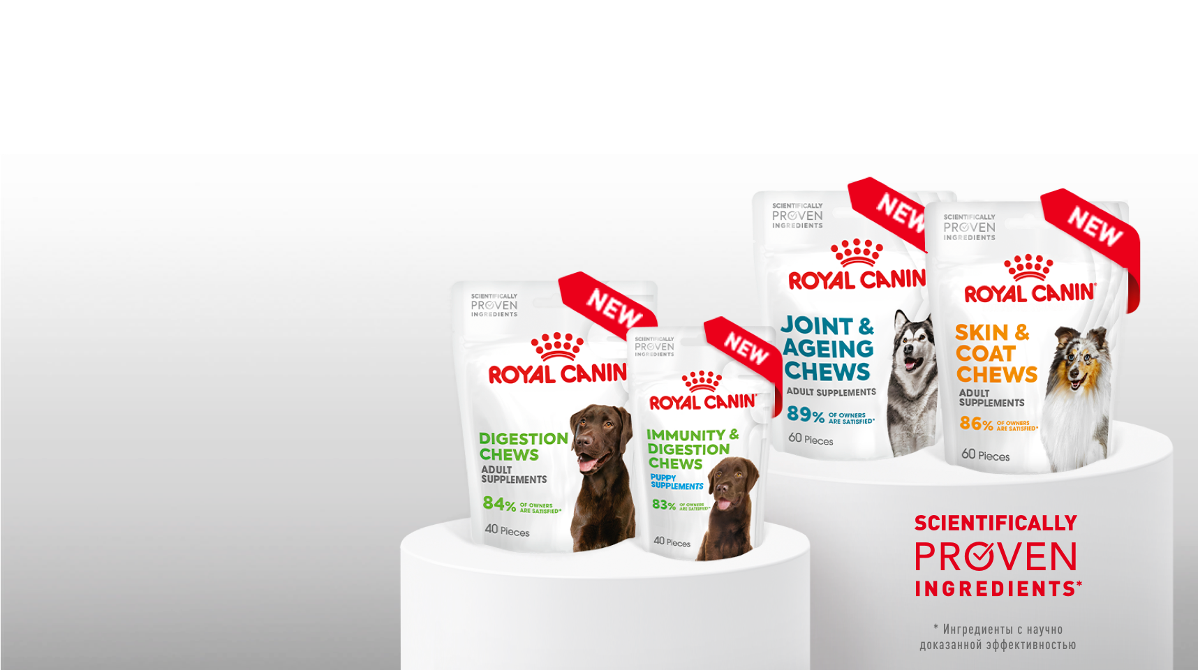 Royal Canin Healty Dog Treats: новые лакомства для поддержки при повышенной чувствительности собак