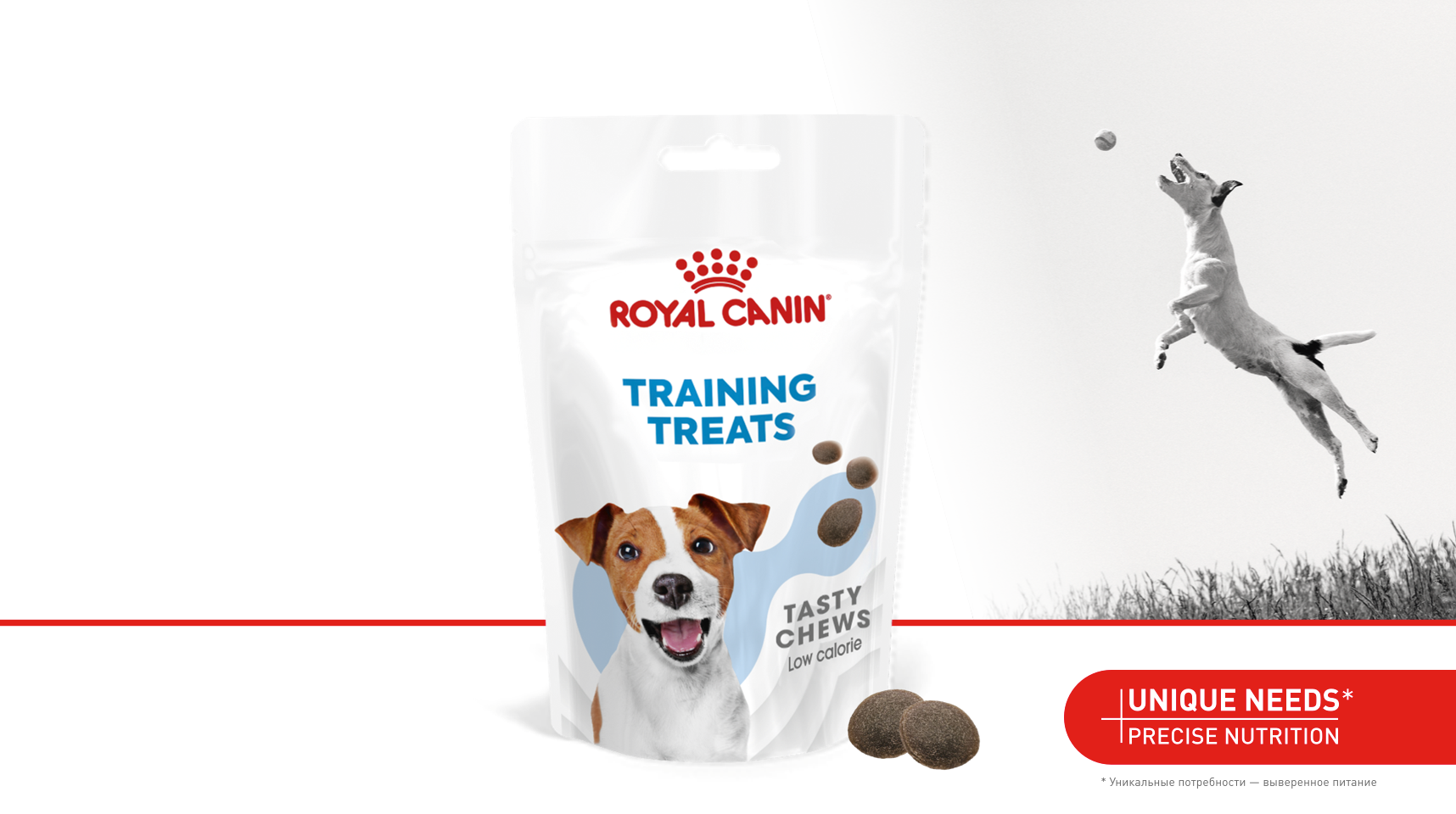Royal Canin Training Treats: легкий спосов научить - лакомство для дрессировки собак