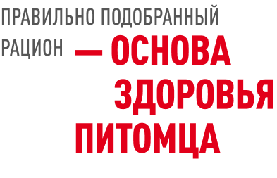 Правильно подобранный рацион — основа здоровья питомца
