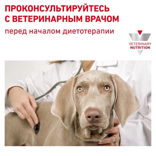 Royal Canin Urinary S/O Small Dog Корм сухой для малых пород с заболеваниями мочевыделительной системы