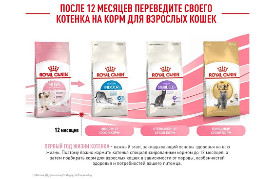 Royal Canin Kitten Корм сухой сбалансированный для котят в период второй фазы роста до 12 месяцев