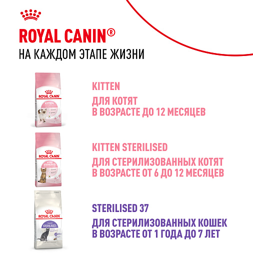 Royal Canin Корм для котят в возрасте до 12 месяцев (Kitten Sterilised), в желе