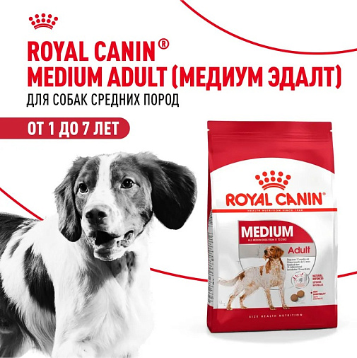 Royal Canin Medium Adult Корм сухой для взрослых собак средних размеров от 12 месяцев до 7 лет