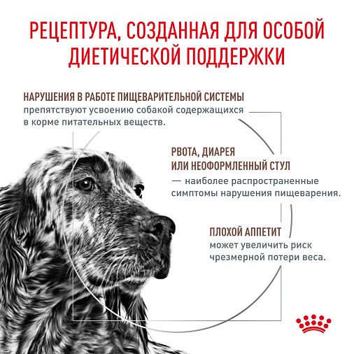 Royal Canin GASTROINTESTINAL (ГАСТРОИНТЕСТИНАЛ) Корм сухой для взрослых собак при расстройствах пищеварения