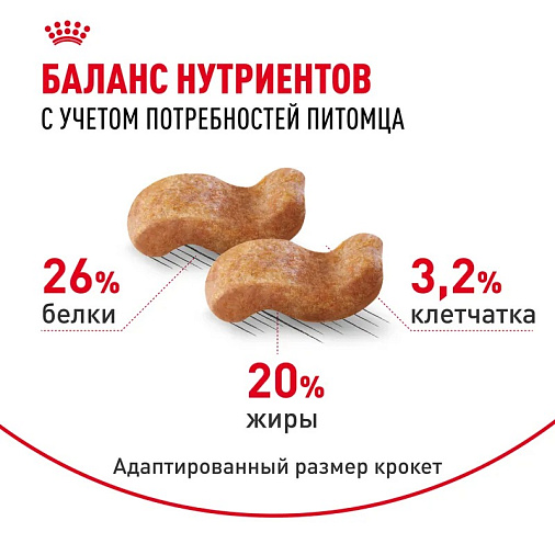 Royal Canin Boxer Adult Корм сухой для взрослых и стареющих собак породы боксер от 15 месяцев