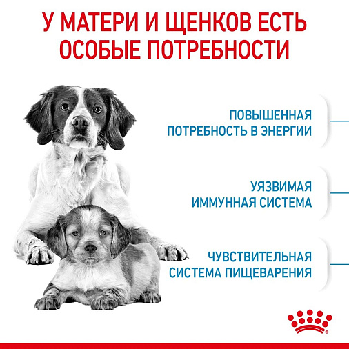 Royal Canin Medium Starter Mother&Babydog Корм сухой полнорационный для щенков средних размеров в период отъема и до 2х месяцев, беременных и кормящих сук
