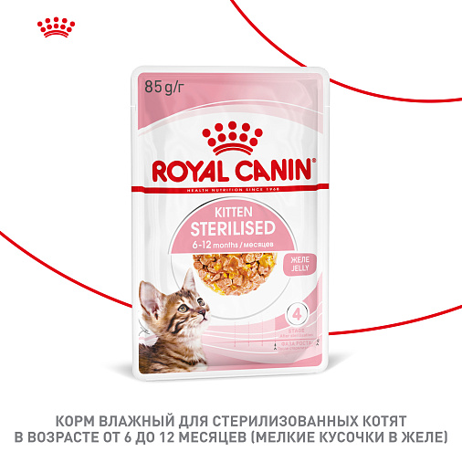 Royal Canin Корм для котят в возрасте до 12 месяцев (Kitten Sterilised), в желе