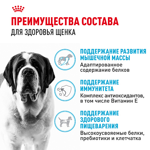 Royal Canin Giant Junior Корм сухой  для щенков очень крупных пород  в возрасте от 8 до 18/24 месяцев
