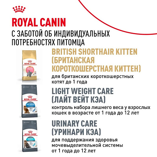 Royal Canin British Shorthair Adult Корм сухой сбалансированный для взрослых британских короткошерстных кошек