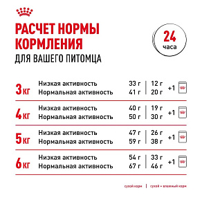 Royal Canin Hair&Skin Care Корм сухой для взрослых кошек для поддержания здоровья кожи и шерсти