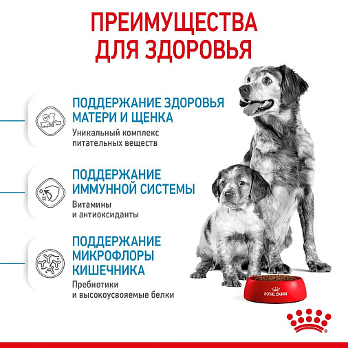 Royal Canin Medium Starter Mother&Babydog Корм сухой полнорационный для щенков средних размеров в период отъема и до 2х месяцев, беременных и кормящих сук