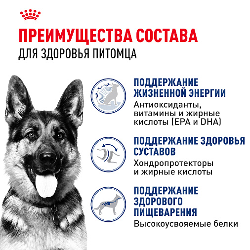 Royal Canin Maxi Ageing 8+ Корм сухой для стареющих собак крупных размеров от 8 лет и старше