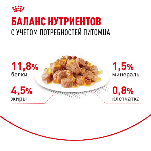 Royal Canin Instinctive Корм консервированный для взрослых кошек, желе