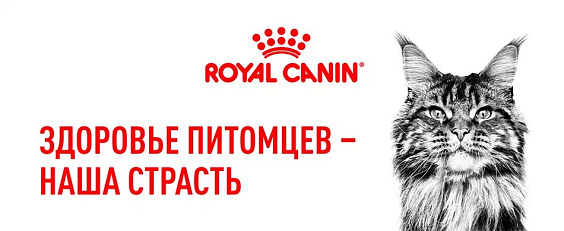 Royal Canin Sterilised 37 Корм сухой сбалансированный для взрослых стерилизованных кошек