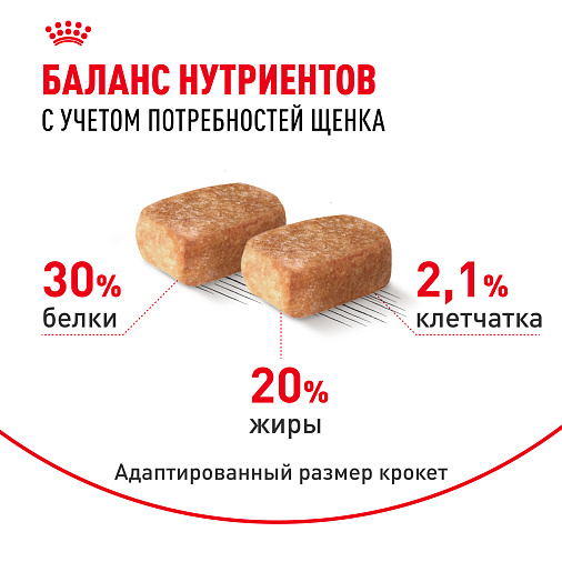 Royal Canin Chihuahua Puppy Корм сухой для щенков породы Чихуахуа до 8 месяцев