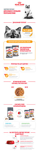 Royal Canin Hair&Skin Care Корм консервированный полнорационный для взрослых кошек для поддержания здоровья кожи и красоты шерсти, тонкие ломтики в соусе