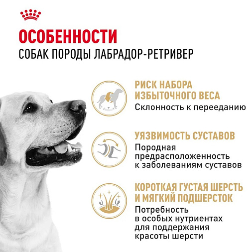 Royal Canin Labrador Retriever Adult Корм сухой для взрослых собак породы Лабрадор Ретривер от 15 месяцев