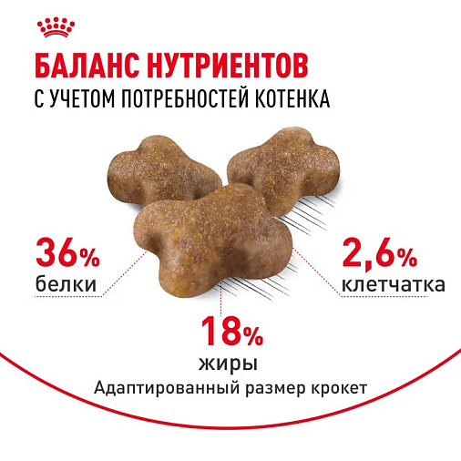 Royal Canin Kitten Корм сухой сбалансированный для котят в период второй фазы роста до 12 месяцев