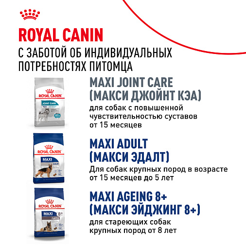 Royal Canin Maxi Adult Корм сухой для взрослых собак крупных размеров от 5 лет до 8 лет