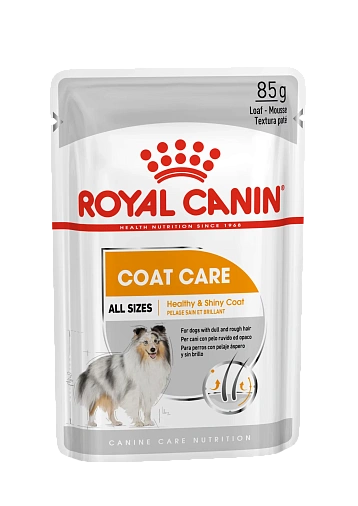 Royal Canin Mini Coat Care Canine (в паштете) Корм консервированный полнорационный для взрослых собак в возрасте 10 месяцев и старше, с тусклой и сухой шерстью
