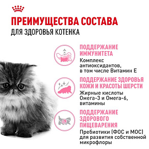 Royal Canin Persian Kitten Корм сухой сбалансированный для персидских котят (до 12 месяцев)