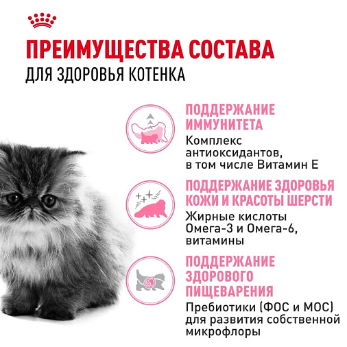Royal Canin Persian Kitten Корм сухой сбалансированный для персидских котят (до 12 месяцев)