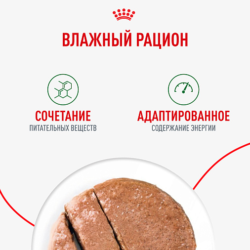 Royal Canin Mini Ageing для взрослых собак мелких размеров (до 10 кг) старше 8 лет