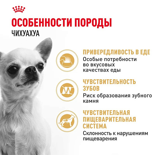 Royal Canin Chihuahua Adult Корм сухой для взрослых собак породы Чихуахуа от 8 месяцев