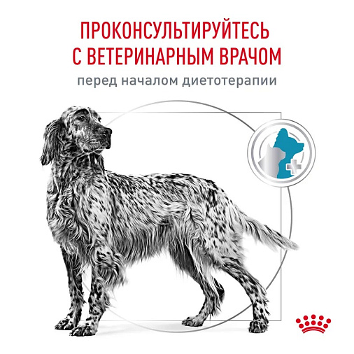Royal Canin Sensitivity Control (сенситивити контрол) Корм сухой для взрослых собак при пищевой аллергии