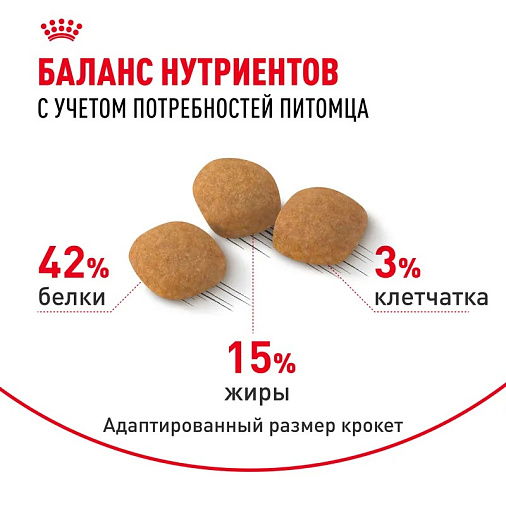 Royal Canin Protein Exigent Корм сухой сбалансированный для привередливых взрослых кошек от 1 года