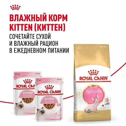 Royal Canin Sphynx Kitten Корм сухой сбалансированный для котят породы Сфинкс до 12 месяцев