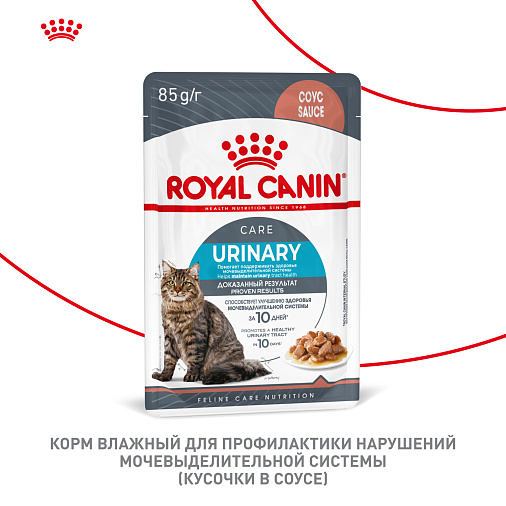 Royal Canin Корм для профилактики нарушения мочевыделительной системы у взрослых кошек (Urinary Care), мелкие кусочки в соусе