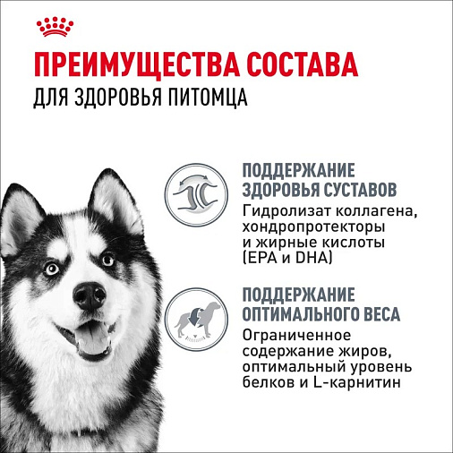 Royal Canin Maxi Joint Care Корм сухой для взрослых собак крупных размеров с повышенной чувствительностью суставов