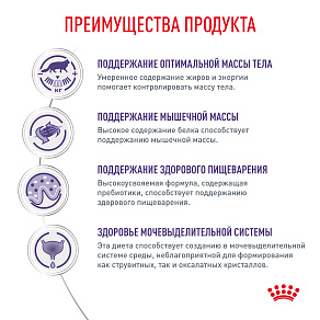 Royal Canin NEUTERED MAINTENANCE (НЬЮТРИД МЭЙНТЕНЭНС) Корм влажный для взрослых стерилизованных кошек