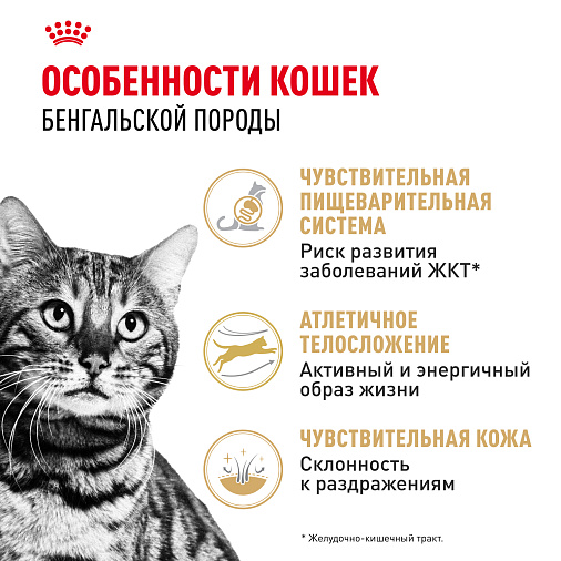 Royal Canin BENGAL ADULT Корм сухой полнорационный сбалансированный для кошек – Специально для взрослых бенгальских кошек старше 12 месяцев