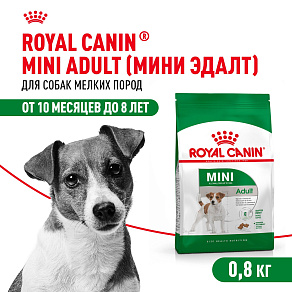 Royal Canin Mini Adult Корм сухой для взрослых собак мелких размеров от 10 месяцев