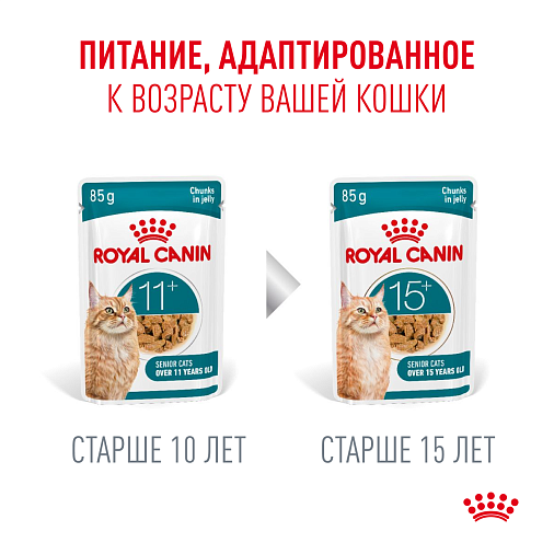 Royal Canin Ageing 11+ Корм влажный для пожилых кошек старше 11 лет, кусочки в желе
