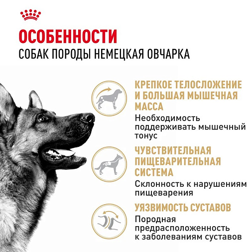 Royal Canin German Shepherd Adult Корм сухой для взрослых собак породы Немецкая Овчарка от 15 месяцев