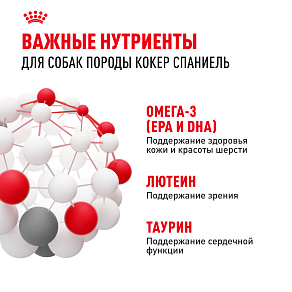 Royal Canin Cocker Adult Корм сухой для взрослых собак породы Кокер Спаниель от 12 месяцев