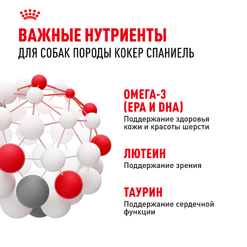 Royal Canin Cocker Adult Корм сухой для взрослых собак породы Кокер Спаниель от 12 месяцев