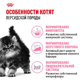 Royal Canin Persian Kitten Корм сухой сбалансированный для персидских котят (до 12 месяцев)