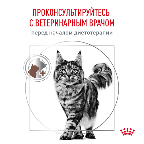 Royal Canin GASTROINTESTINAL FIBRE RESPONSE (ГАСТРОИНТЕСТИНАЛ ФАЙБР РЕСПОНС) Корм сухой для кошек при запорах