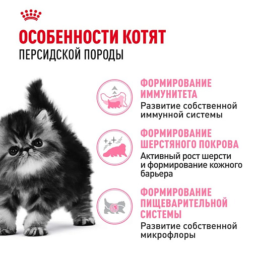 Royal Canin Persian Kitten Корм сухой сбалансированный для персидских котят (до 12 месяцев)