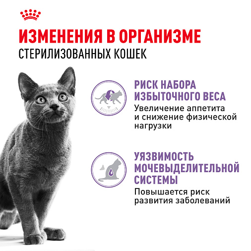 Royal Canin Sterilised Корм консервированный для взрослых кошек в желе