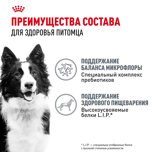 Royal Canin Medium Digestive Care Корм сухой для взрослых собак средних пород с чувствительным пищеварением