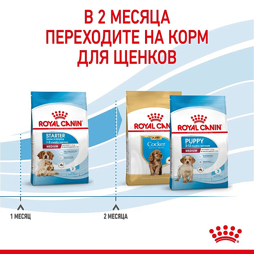 Royal Canin Medium Starter Mother&Babydog Корм сухой полнорационный для щенков средних размеров в период отъема и до 2х месяцев, беременных и кормящих сук