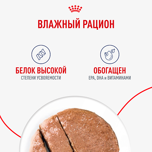 Royal Canin Maxi Ageing Влажный корм для стареющих собак крупных размеров от 8 лет и старше