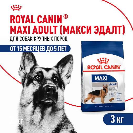 Royal Canin Maxi Adult Корм сухой для взрослых собак крупных размеров от 15 месяцев до 5 лет