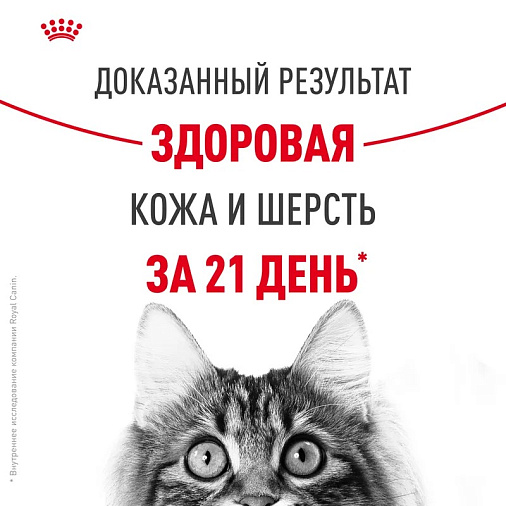 Royal Canin Hair&Skin Care Корм сухой для взрослых кошек для поддержания здоровья кожи и шерсти