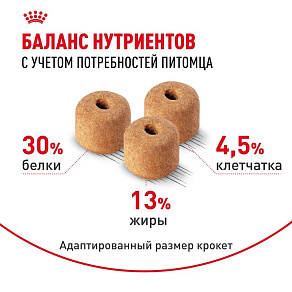 Royal Canin Labrador Retriever Adult Корм сухой для взрослых собак породы Лабрадор Ретривер от 15 месяцев